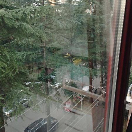Apartment Ge Zvezda Batumi Eksteriør bilde